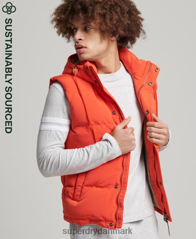 Superdry orange Mænd tøj everest puffer med hætte 868VH4460