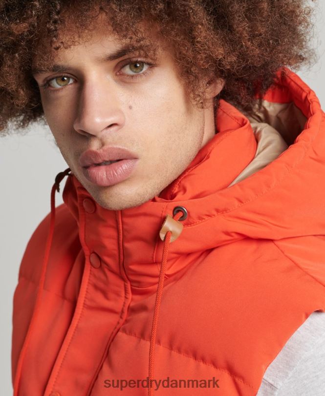Superdry orange Mænd tøj everest puffer med hætte 868VH4460