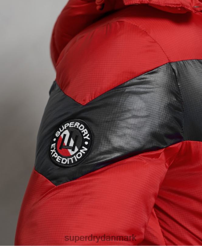 Superdry rød Mænd tøj stratus polstret jakke 868VH4789